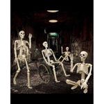 Generic Halloween Human Skeleton - image 3