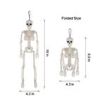 Generic Halloween Human Skeleton - image 4