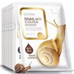 10 PIECES - Snail Moisturizing Face Mask Sheet