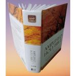Generic Amplified Bible Compact Size ,References, Double-Column, Bible Text, Footnotes By Zondervan - image 5