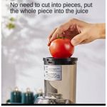 Generic Buerk Masticating High Quality Slow Juicer-300V - image 4