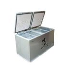 Snowsea BIG ROOMY DOUBLE DOOR ENERGY SAVING FREEZER BD-600L