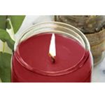 Airpure 18oz Scented Jar Candles – Gingerbread, 510g X 4 - image 3