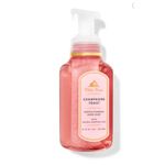 Bath & Body Works Bath And Body Works CHAMPAGNNE TOAST Cleansing Gel Hand Soap