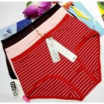 6pcs Women Panties