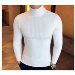 product_image_name-Fashion-Men/Women Turtle Neck Top/ Cooperate White-1