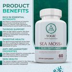YOGIC Herbal Supplements  Sea Moss Complex 10-1 60 Capsules - image 6