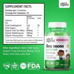 product_image_name-Wild-Kid's Sea Moss 60 Gummies-2