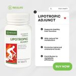 Perfect Supplements Lipotropic Adjunct - 90 Tablets