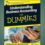 Understanding Business Accounting for Dummies