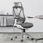 Home & Office Ergonomic Design Office Chair