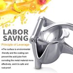 product_image_name-Fruit-Stanless Duty Manual Fruit Squeezer & Juicer Hand Press Tool-3