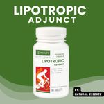 product_image_name-Nutrition-Lipotropic Adjunct - 90 Tablets Lipotropic Supplements for Fat Metabolism & Liver Support-1