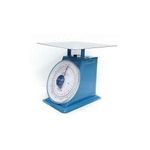 Camry Table manual weighing scale 100kg