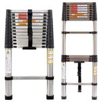 Generic 17ft telescopic ladder -silver