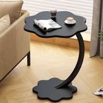 Generic Coffee side Table.