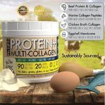 product_image_name-Paleo Pro- Collagen W Protein 5 Collagen (I, II, III, V, X) 340G.-5
