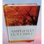 Generic Amplified Bible Compact Size ,References, Double-Column, Bible Text, Footnotes By Zondervan - image 4