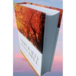 Generic Amplified Bible Compact Size ,References, Double-Column, Bible Text, Footnotes By Zondervan - image 7