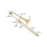 product_image_name-Generic-Trombone - Gold-4