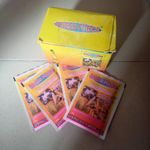 Dress force chin-chi insecticide - box of 15 sachets    