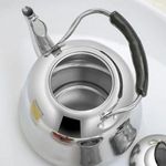Generic Stainless Steel Whistling Kettle - 5L - image 2