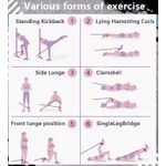 Generic Adjustable ankle straps D-ring leg trainer 2pcs - image 6