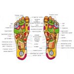 product_image_name-Generic-Share this product    Foot Massager- Health Protection Instrument-4