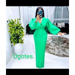 Elegant And Classy Ladies Gown