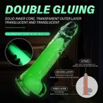 Generic Double Layer Luminous Glow In The Dark Dildo