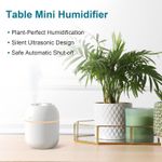 product_image_name-Avsty-Portable Small Humidifier, 330m USB Personal Desktop Humidifier for Car, Office Room, Bedroom, Auto Shut-Off, 2 Mist Modes, Super Quietl-7