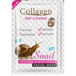 Collagen  Deep Cleansing Facial Mask