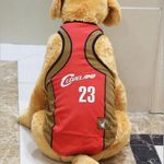 TD Dog Club Basketball Jersey Cleveland 