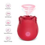 LZDUATAN USB Rose Vibrator Vagina Clitoris Sucker