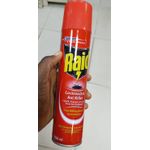Raid Cockroach And Ant Killer Insecticide 300ml