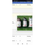 Dragon Extra Hot 1.3 L Food Flask