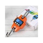 300kg Digital Hanging Crane Scale