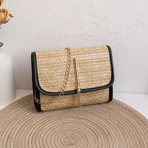 New Straw Woven Bag Fashionable and Versatile Women's Small Backpack Woven Tassel Chain Lining Fabric Diagonal Cross Bags