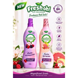 Fresh Oh Long lasting Freshener- 1 pcs Of anyone