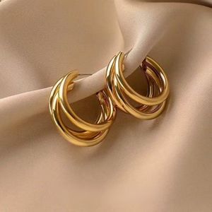 French Minimalist Metal Geometric Hoop Earrings - Light Luxury High-End Gold Circle Earrings, Fashionable & Versatile Daily Jewelry for Women