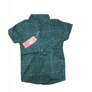 Boys Smart Checkered Casual Button-Down Shirt