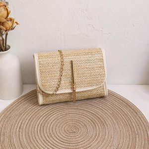 New Straw Woven Bag Fashionable and Versatile Women's Small Backpack Woven Tassel Chain Lining Fabric Diagonal Cross Bags