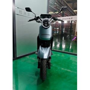 Electric E- Bike M2 - 1000W Electric Bike - Rechargeable, No Petrol, No Noise - Long Distance - For Adults, Students, Delivery