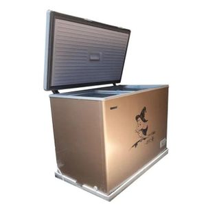 Snowsea 350 Liters Deep Chest Freezer BD-450 Glass