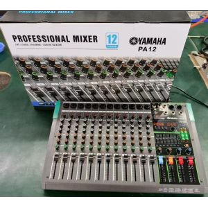 PA 12 Professional Mixer 