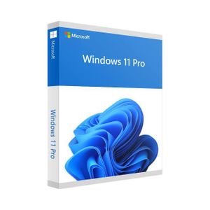 Microsoft Windows 11 Pro 1 Device 