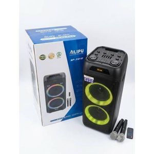 AILIPU 12" Double PA System