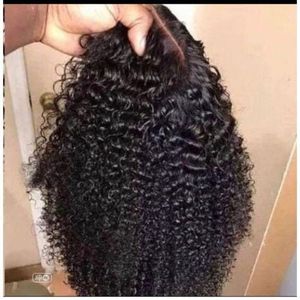 Waterwave Curly Wig With Pics Closure 14
