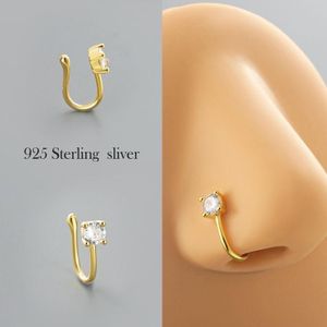 Steel Nose rings 