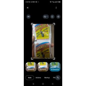 Push Out Rat & Rodent Killer 5gm _3 pcs